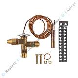 ΣΩΜΑ ΒΑΛΒΙΔΑΣ ΕΠΑΓΓ.ΨΥΓ.TMV R22 FLIKA