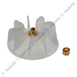 ΦΤΕΡΩΤΗ ΣΕΣΟΥΑΡ